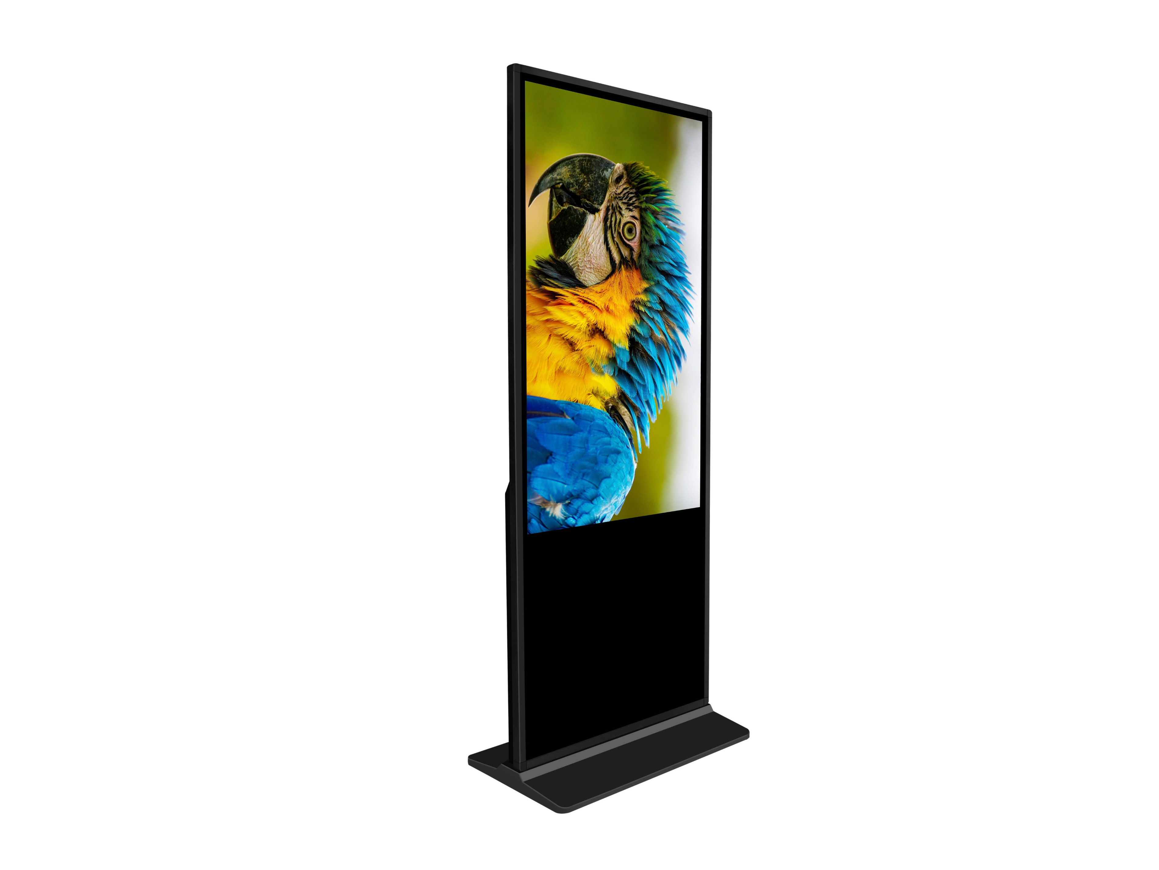 Apollo Floor Standing Infrared Digital Kiosk